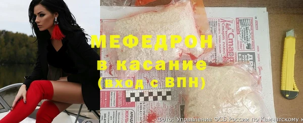 индика Богородицк